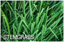 STEMGRASS